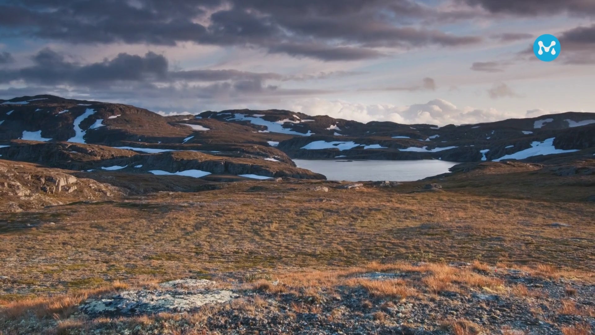 Load video: tundra environment with blowing clouds and metagenom logo